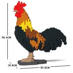 Coq grande taille