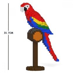 Macaw parrot