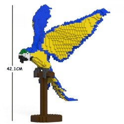 Blue and yellow macaw parrot wings spread