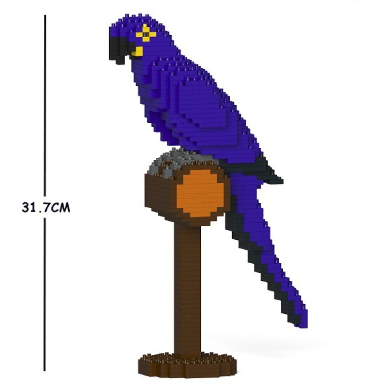 Hyacinth Macaw Parrot