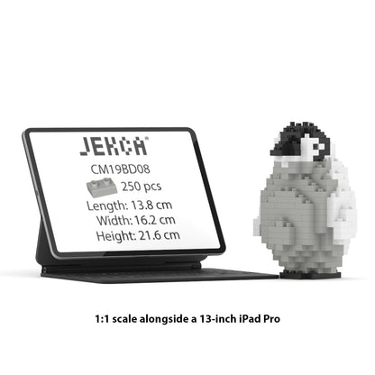 Manchot Empereur bébé