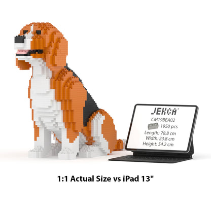 Chien Beagle assis
