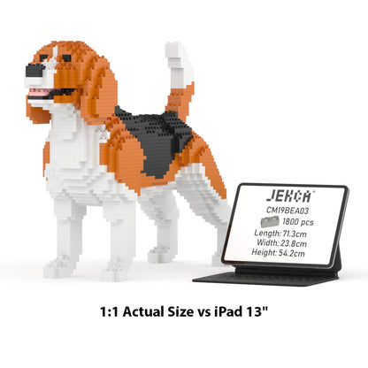 Chien Beagle