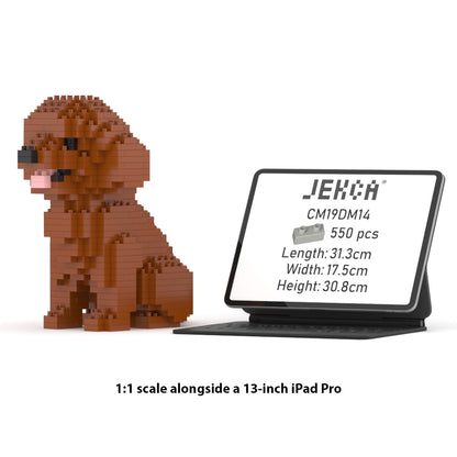 Mini Caniche 01