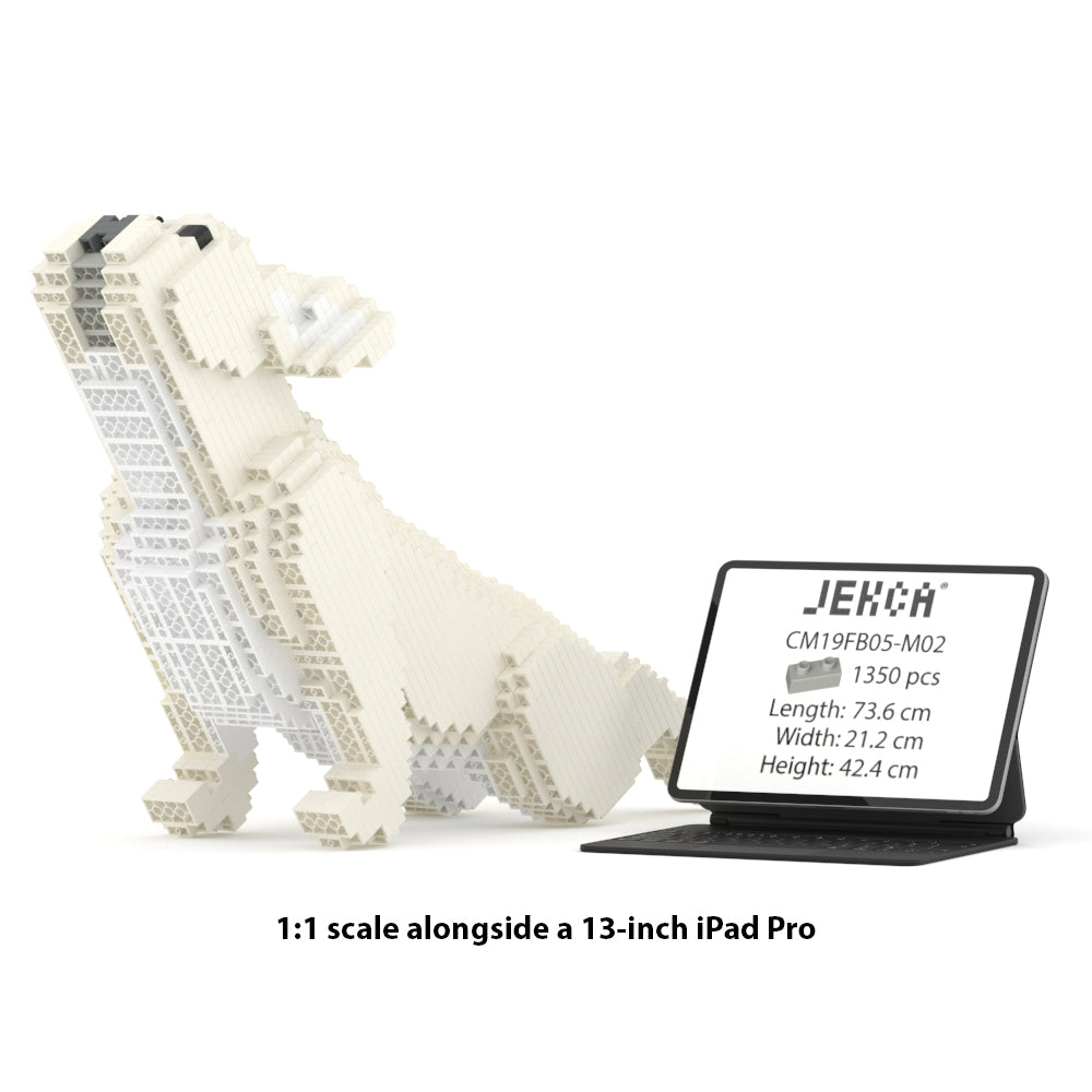 Chien Bouledogue Français qui fait du Yoga crème