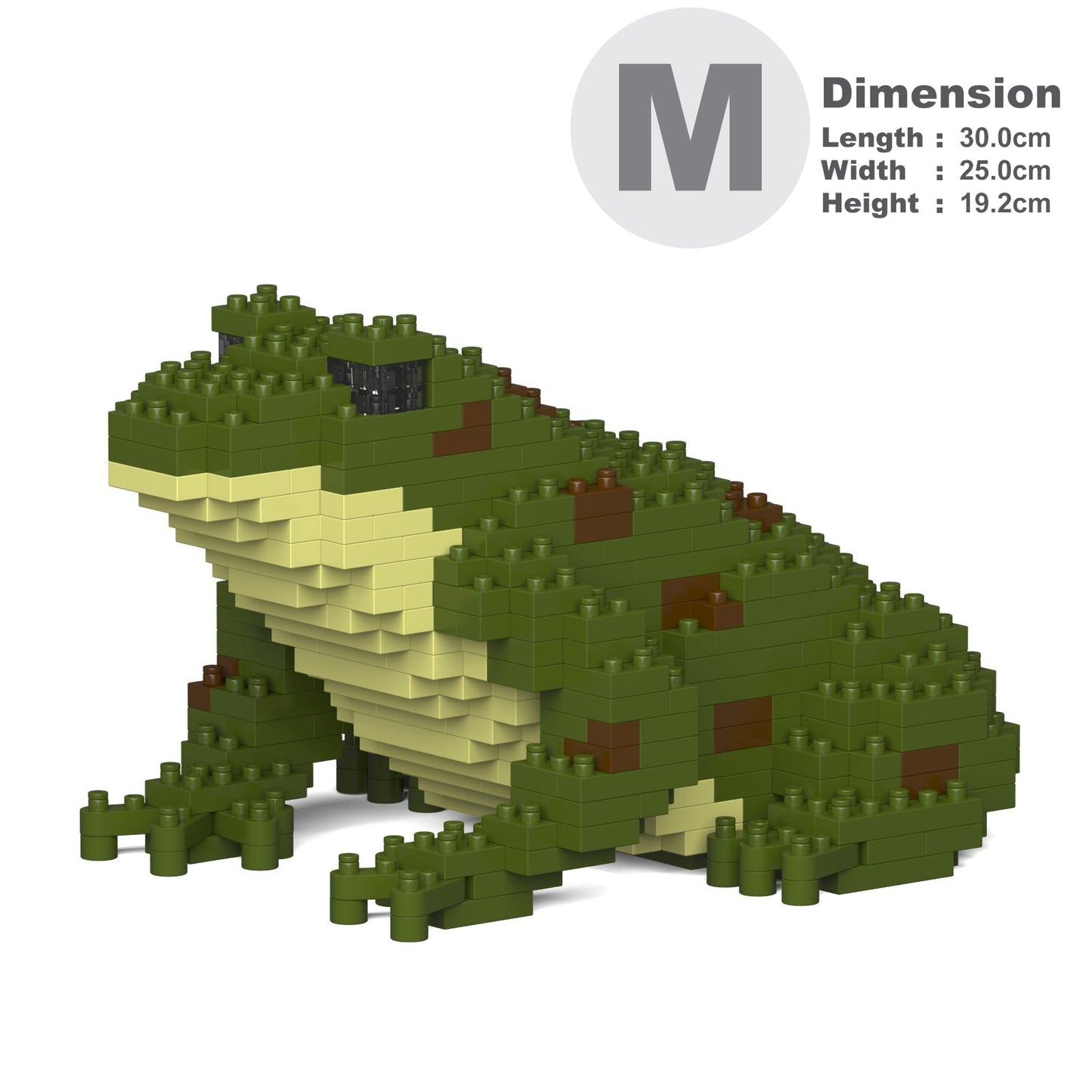 Grenouille verte foncée