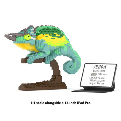 Caméléon de Jackson 01s