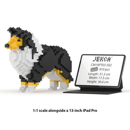 Chien Berger des Shetland noir