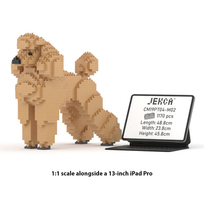 Chien Grand Caniche beige