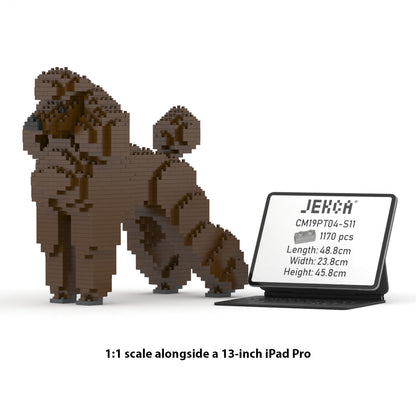 Chien Grand Caniche marron