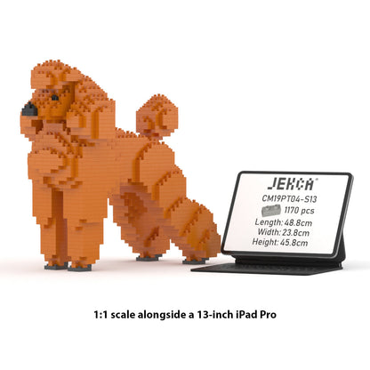 Chien Grand Caniche roux