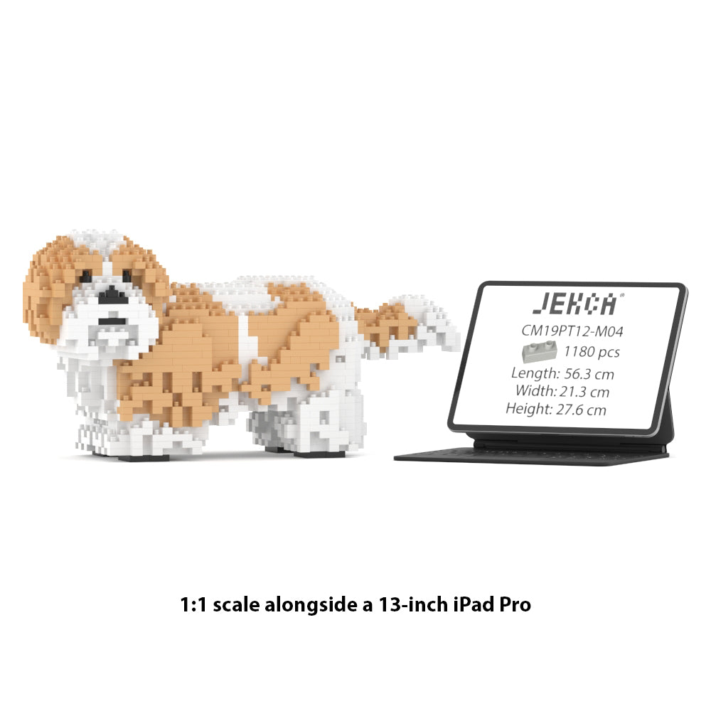 Chien Shih Tzu taches beiges