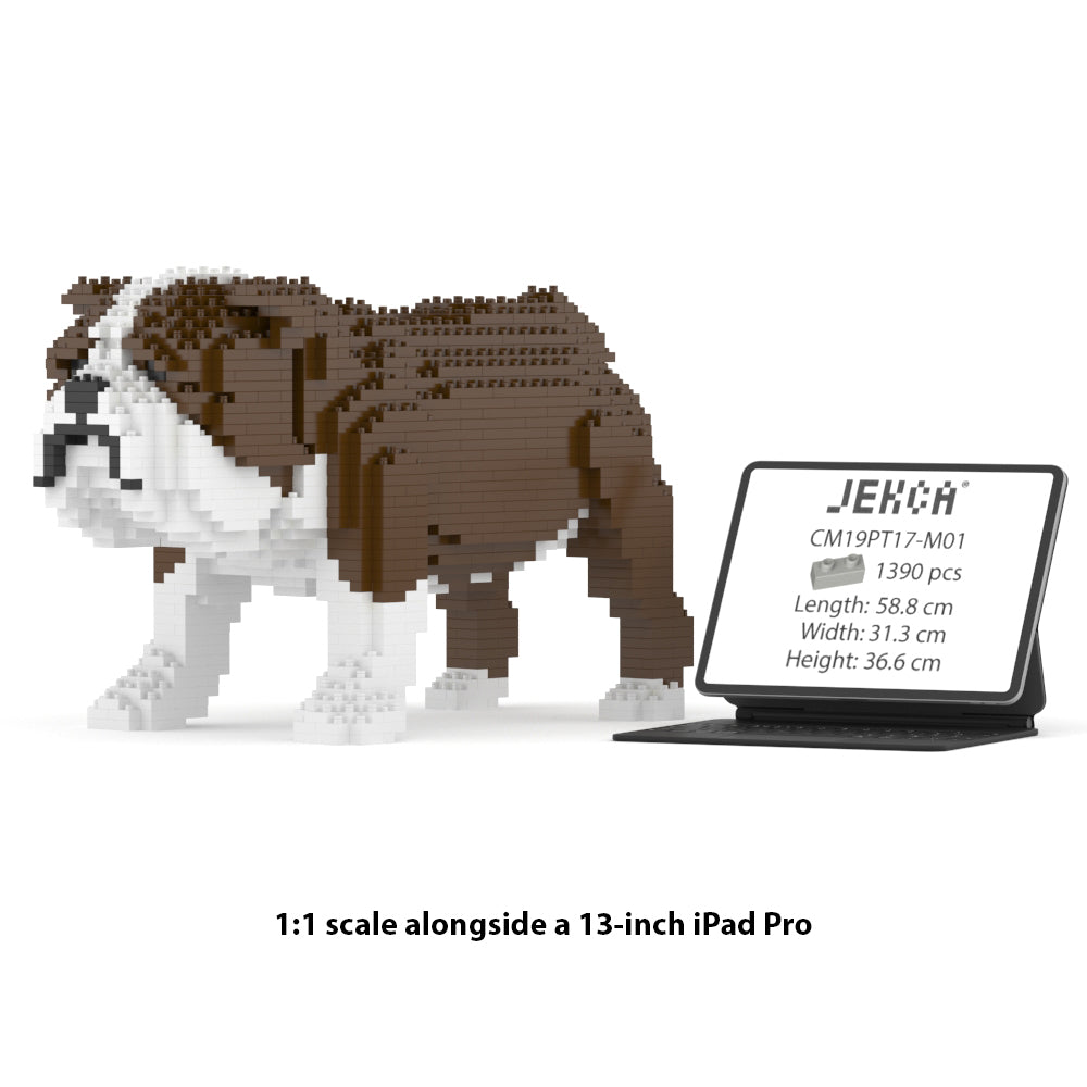 Chien Bulldog Anglais marron