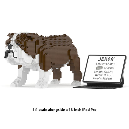 Chien Bulldog Anglais marron