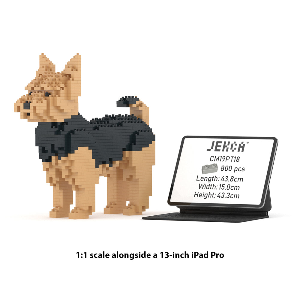 Chien Yorkshire Terrier