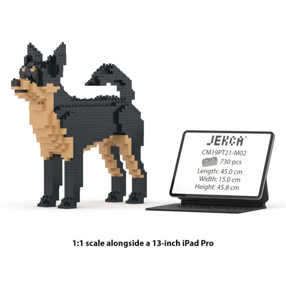 Chien Chihuahua noir