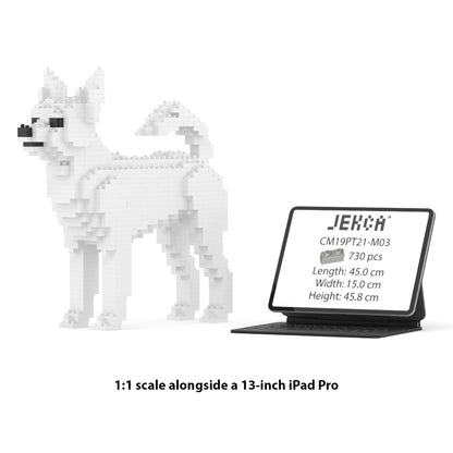 Chien Chihuahua blanc