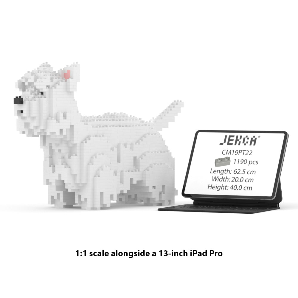 Chien West Highland White Terrier 1er génération