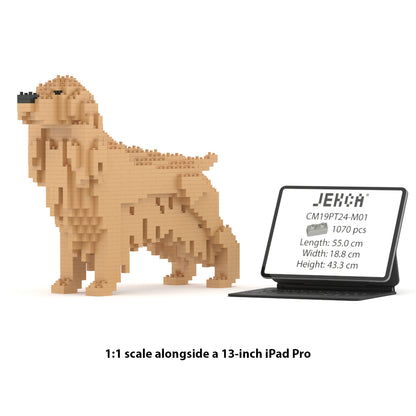 Chien Cocker Anglais beige