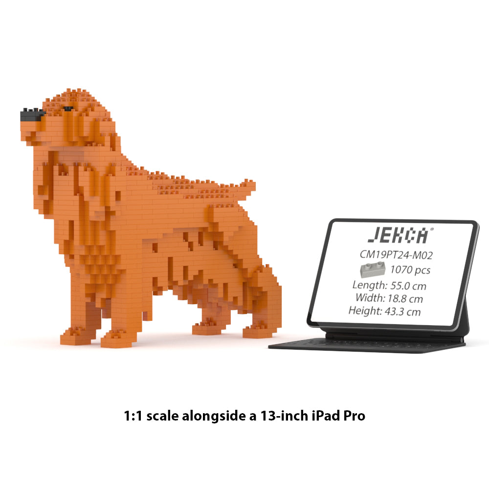 Chien Cocker Anglais roux