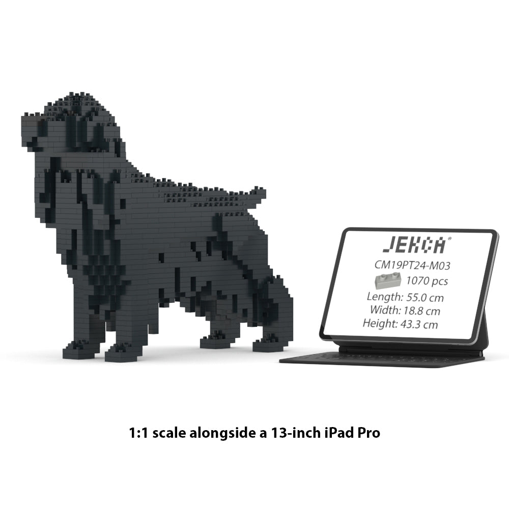 Chien Cocker Anglais noir