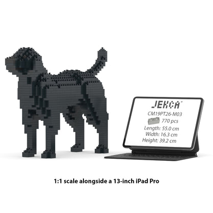 Chien Labrador Retriever noir