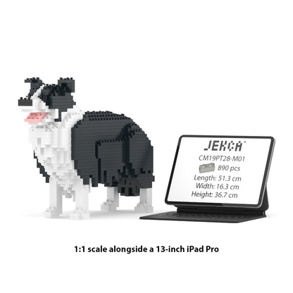 Chien Border Collie noir