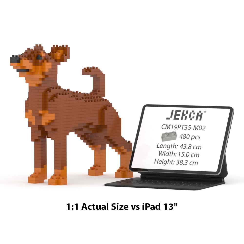 Chien Pinscher Nain marron