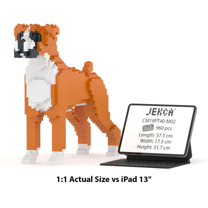 Chien Boxer roux