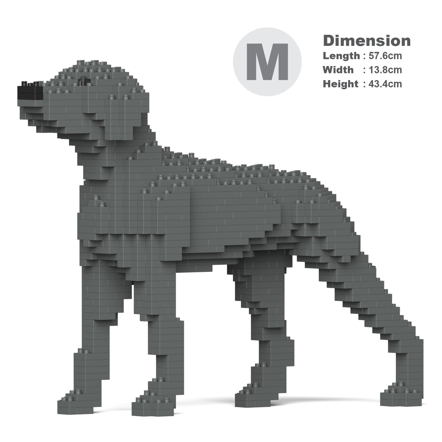 Chien Braque de Weimar