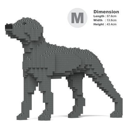 Chien Braque de Weimar