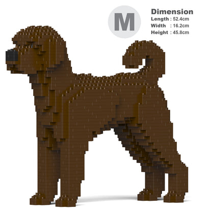 Chien Labradoodle marron