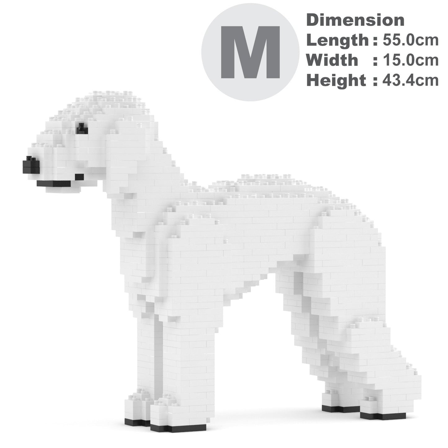 Terrier de Bedlington 01