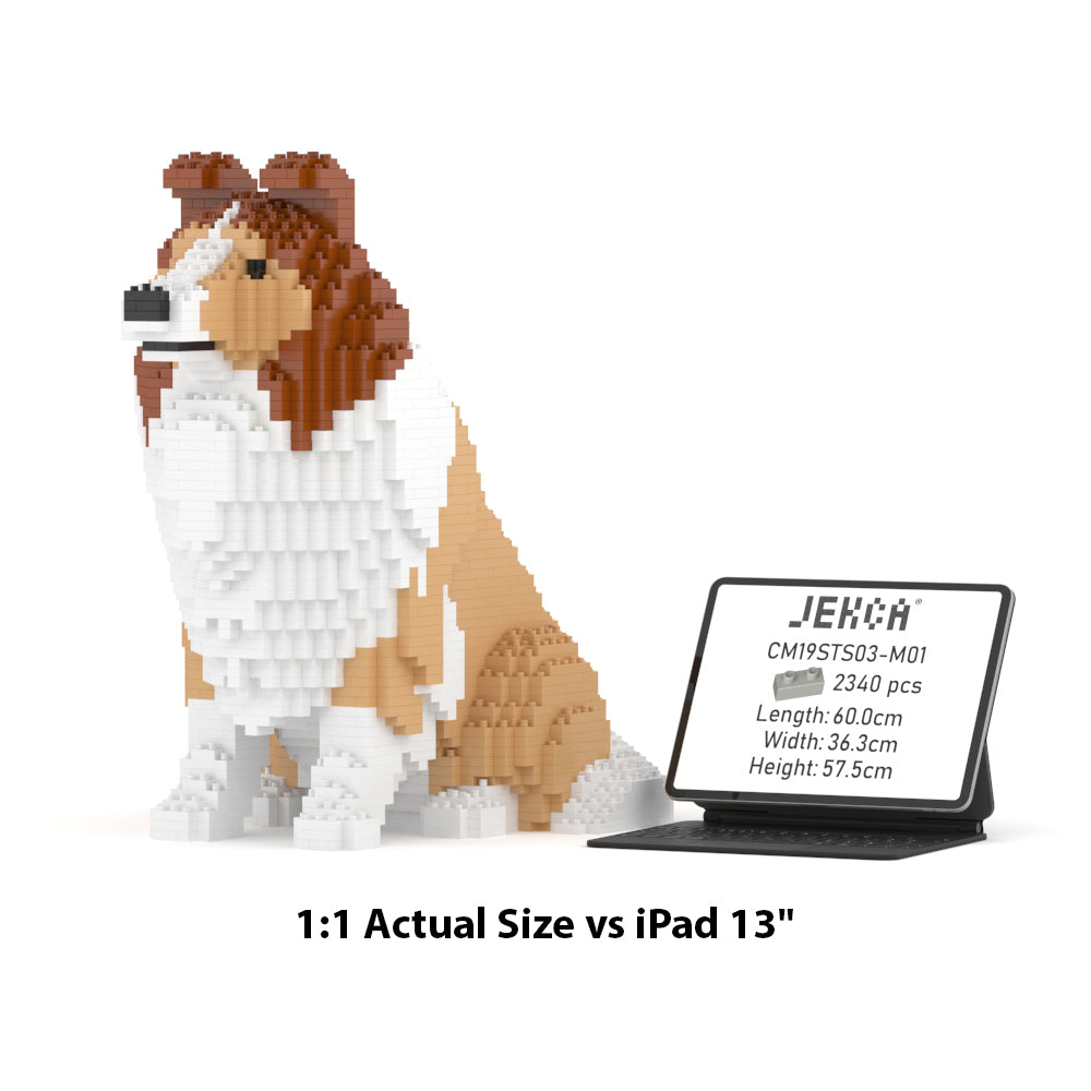 Shetland Sheepdog 03S-M01