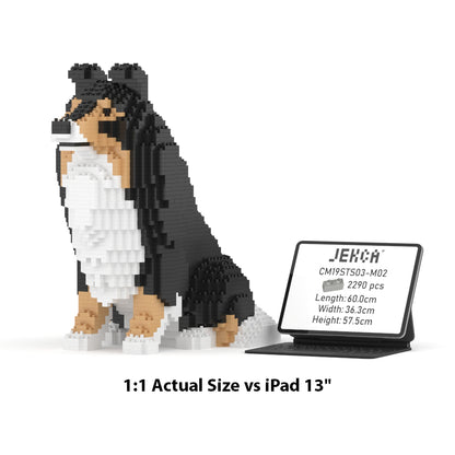 Shetland Sheepdog 03S-M02