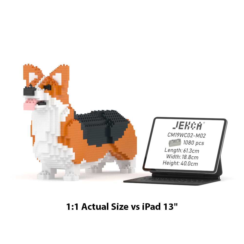 Chien Welsh Corgi roux et noir