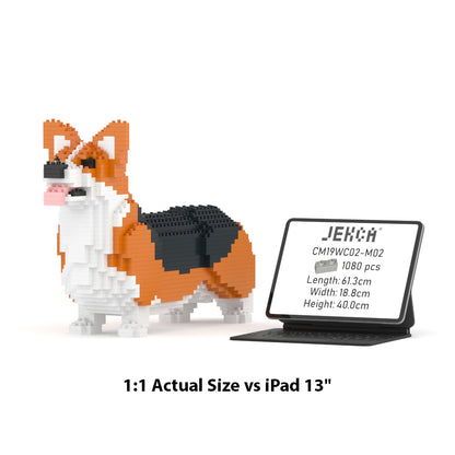 Chien Welsh Corgi roux et noir