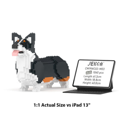 Chien Welsh Corgi noir