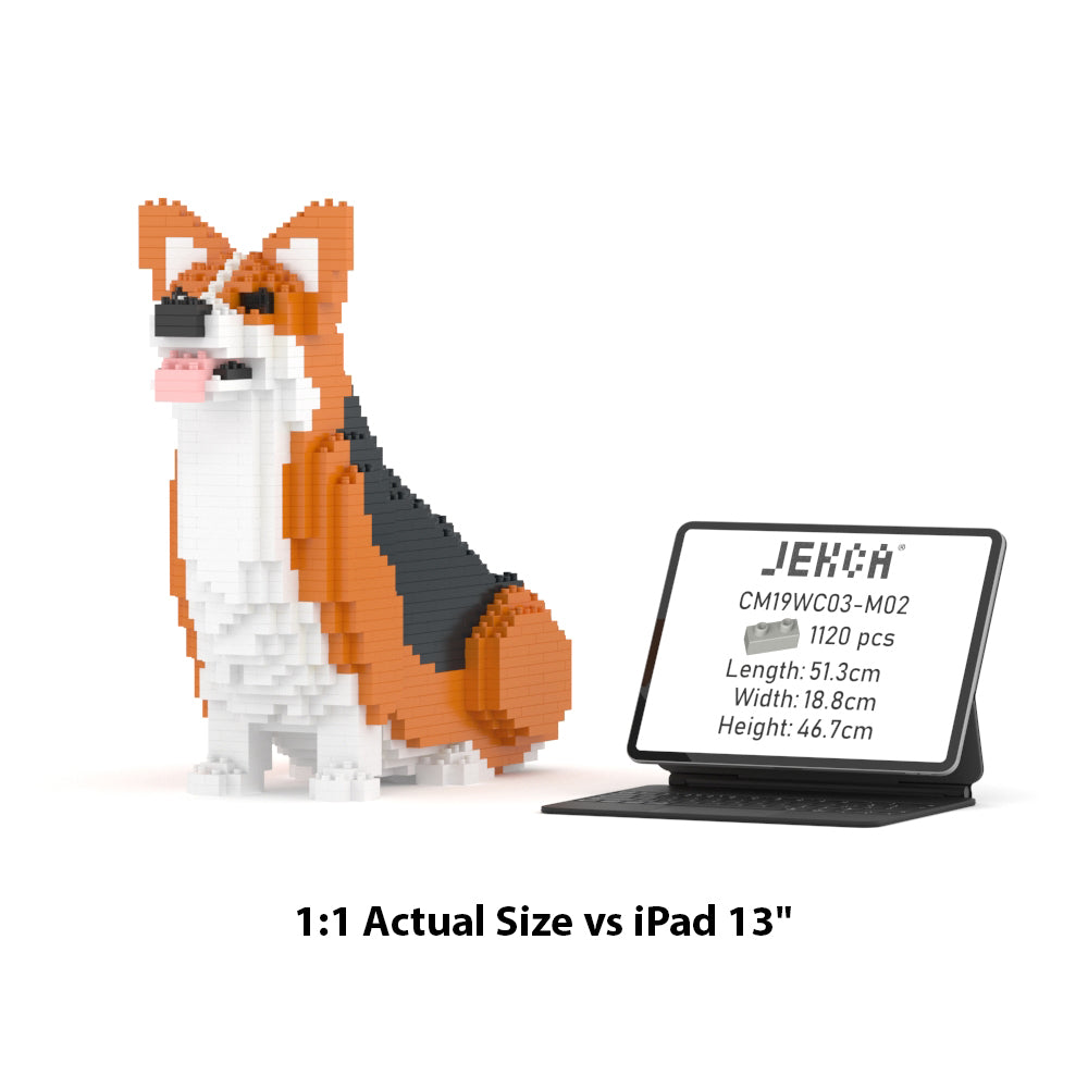Chien Welsh Corgi assis roux et noir