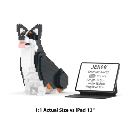 Chien Welsh Corgi assis noir