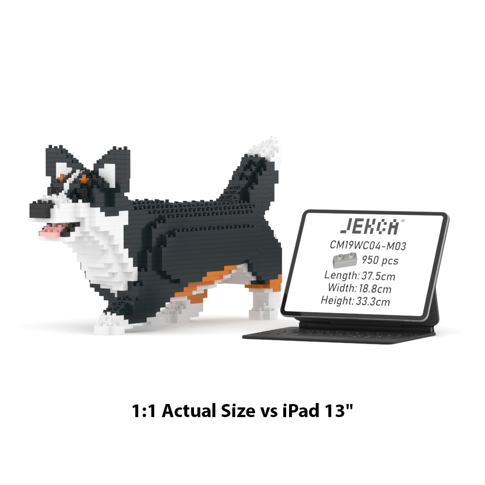 Chien Welsh Corgi qui marche noir