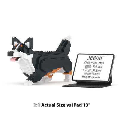 Chien Welsh Corgi qui marche noir