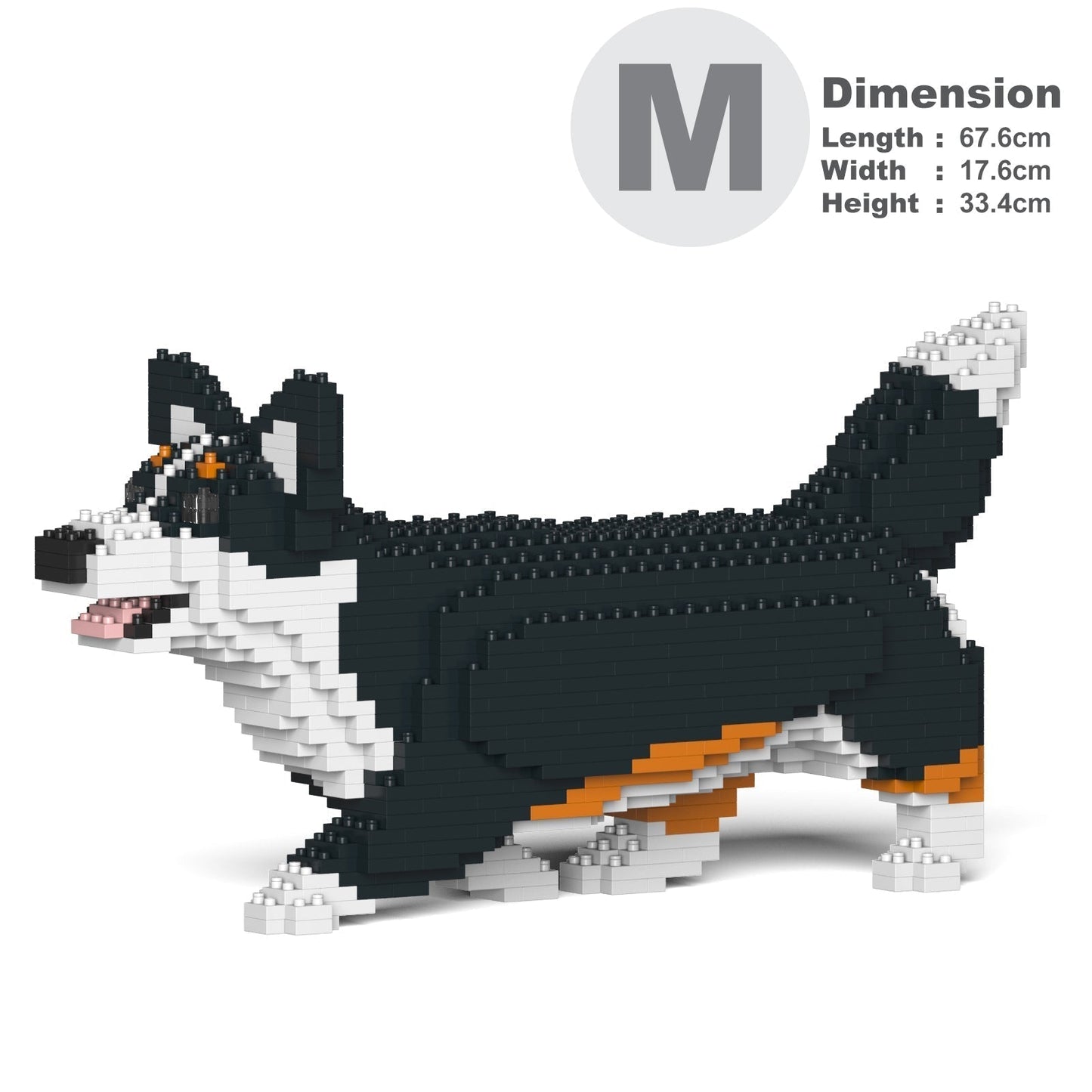 Chien Welsh Corgi qui marche noir