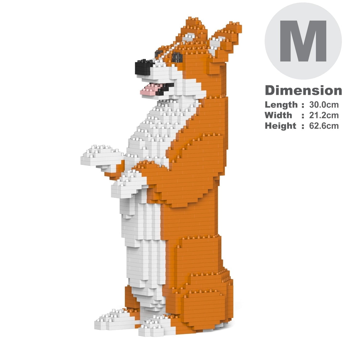 Chien Welsh Corgi debout roux