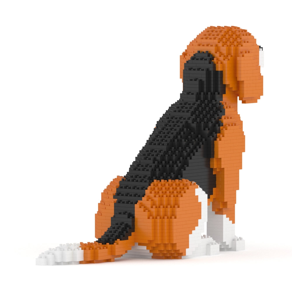 Chien Beagle assis