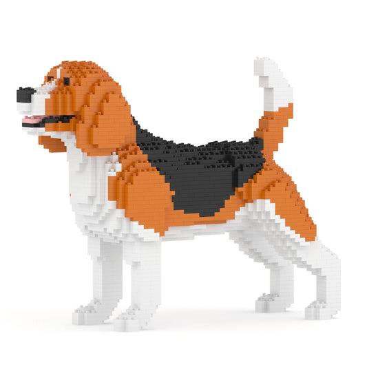 Chien Beagle