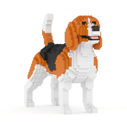 Chien Beagle
