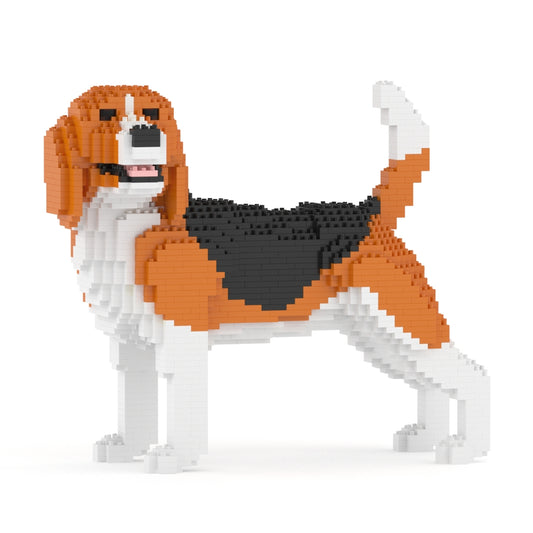 Chien Beagle qui tourne la tête