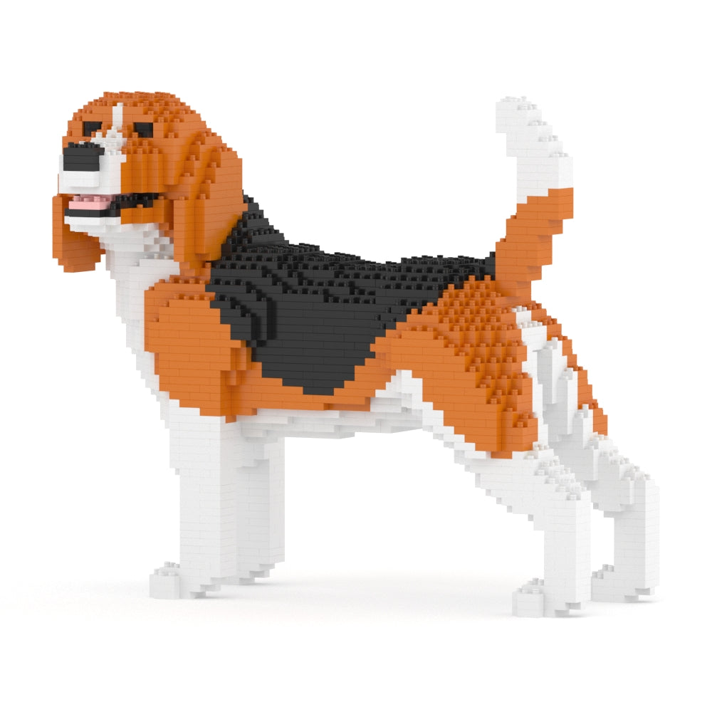 Chien Beagle qui tourne la tête