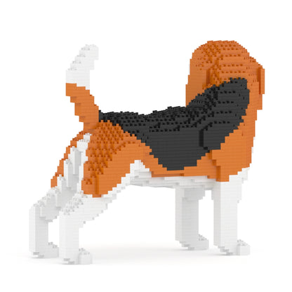 Chien Beagle qui tourne la tête